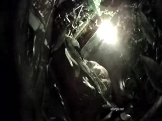 《全新360稀缺㊙️精選》熱帶雨林房真實欣賞數對激情男女滾床單亮點多多✅角色反轉女操男四眼哥最後衝刺真牛逼給力09-12_1_1